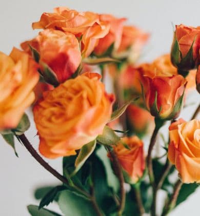 blog-flowers-orange